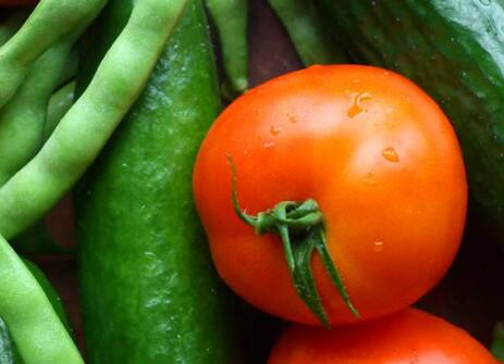 食品安全检测仪 食品安全检测仪