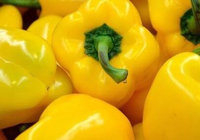 农药残留检测仪 农药残留检测仪